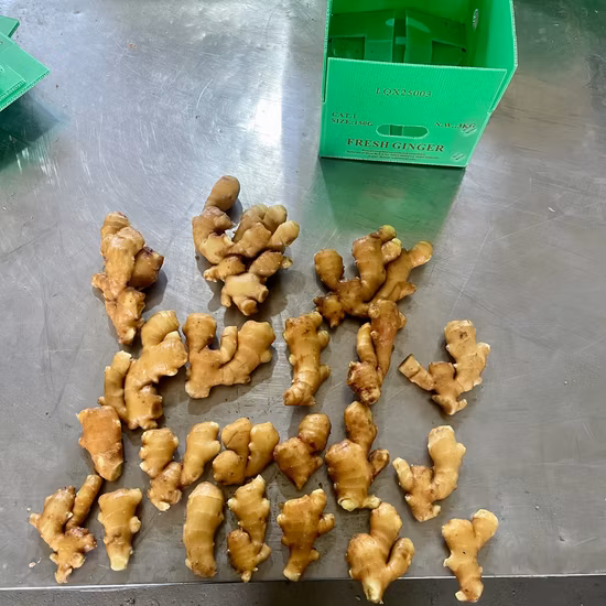 Golden Supplier New Crop Gengibre Fresco (200g ou mais)