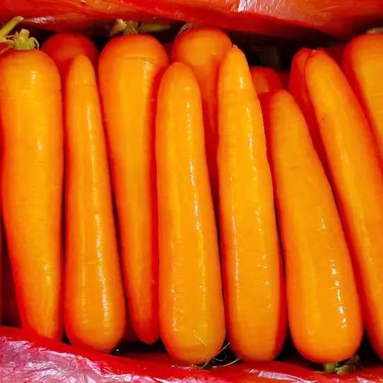 Cenoura seca picada de alta qualidade