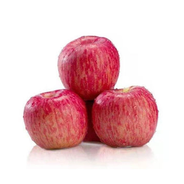 Red Delicious FUJI Apple 2021 Fresh Apple