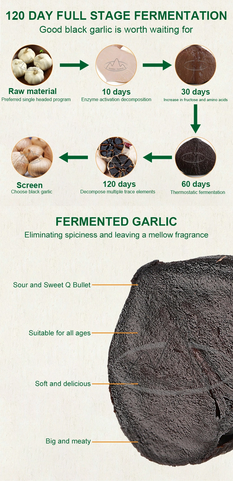 High Quality Black Garlic Whole Black Garlic Wholesales