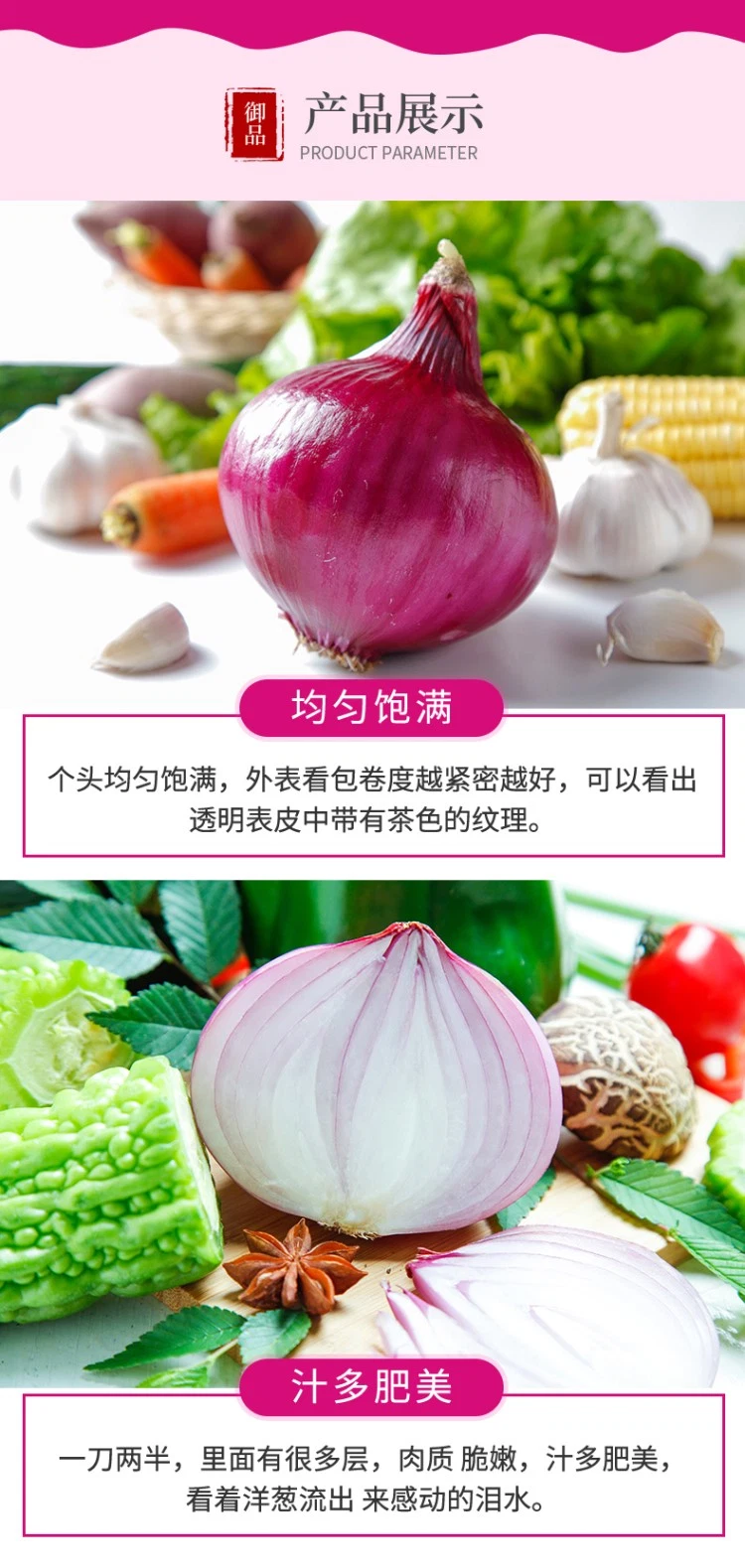 Fresh Red Onion/Onions Exporter