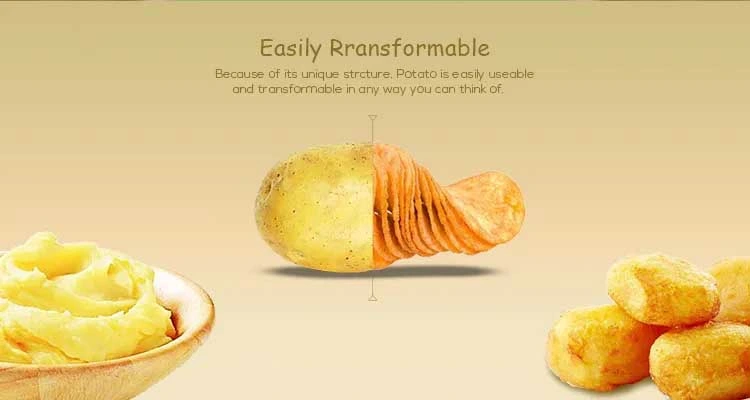 Good Quality Fresh Potato (250g and up) Good Quality Fresh Holland Potato