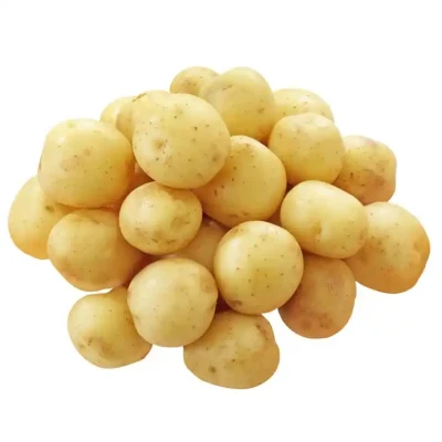 Batata fresca de boa qualidade (250g ou mais) Batata fresca holandesa de boa qualidade